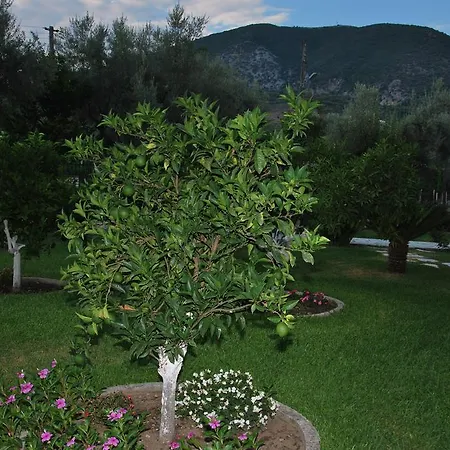 Niriton Nydri (Lefkada)