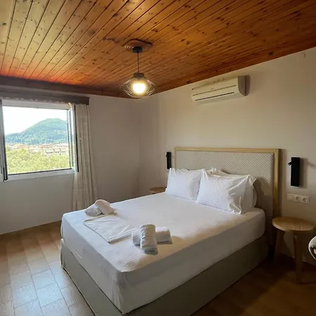 Guest house Niriton 2*